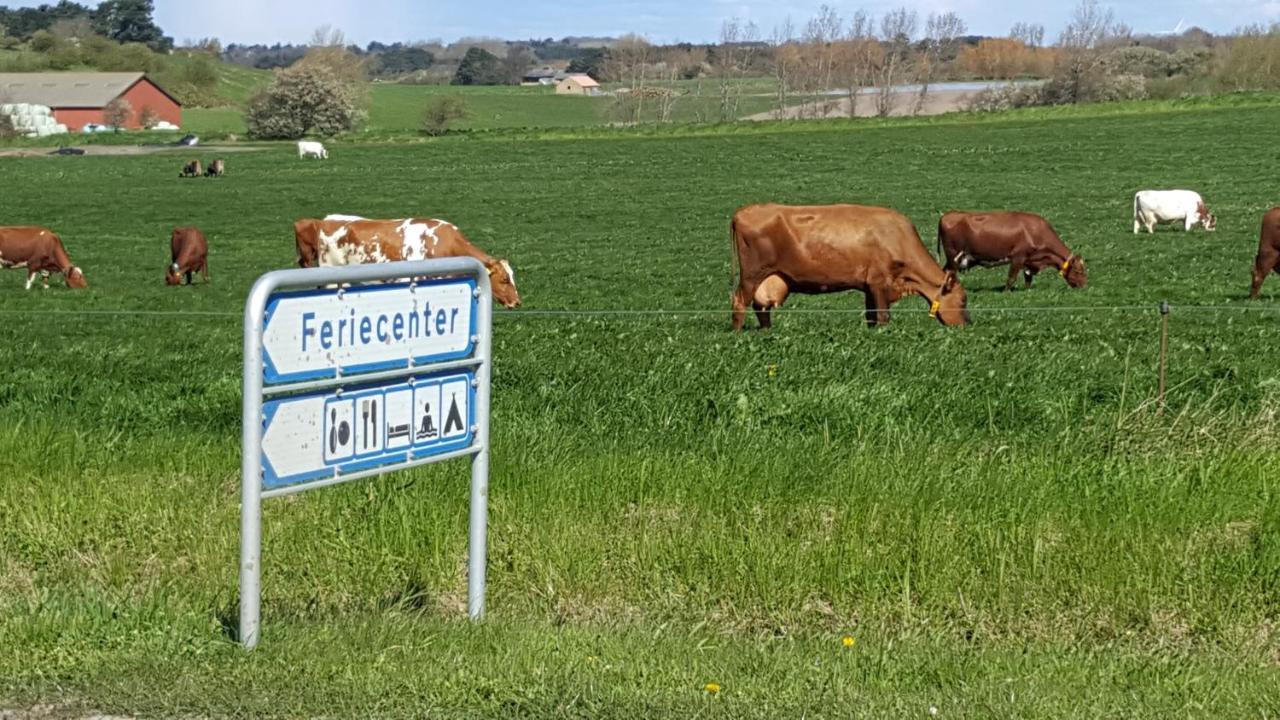 Camping & Feriecenter Samso Kolby Esterno foto
