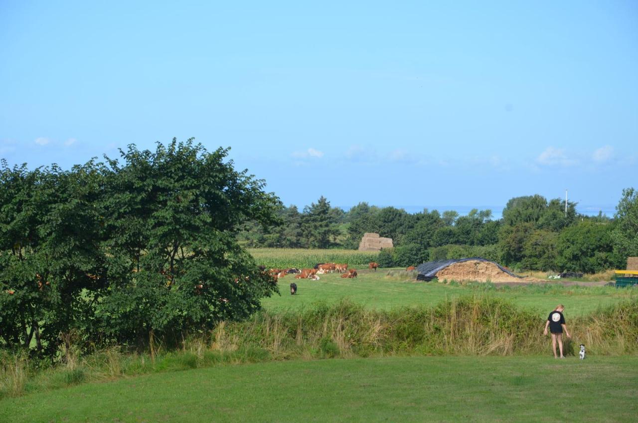 Camping & Feriecenter Samso Kolby Esterno foto